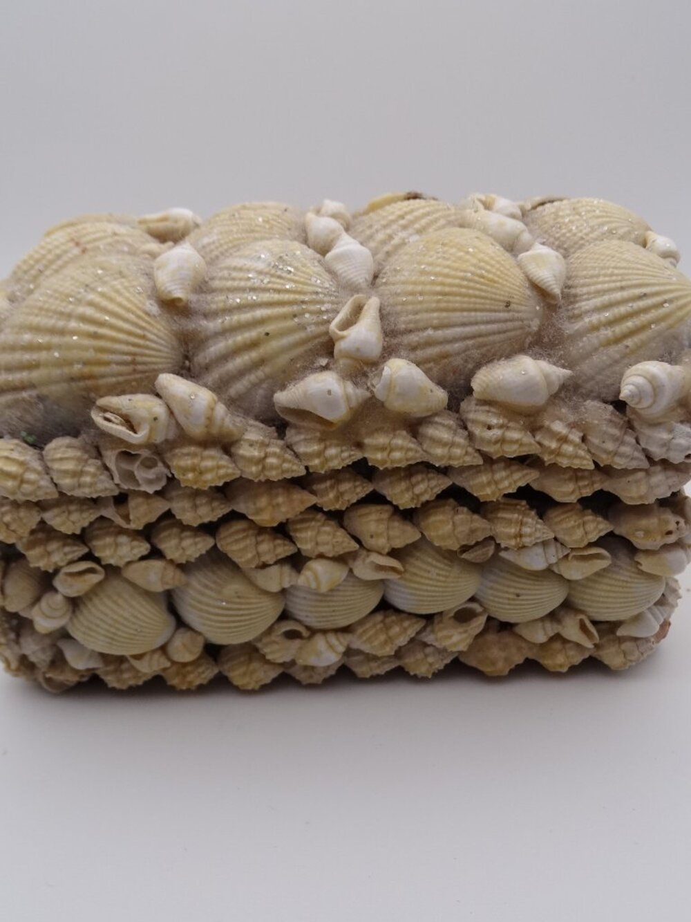 Vintage Seashell Jewelry Trinket Box with Lid